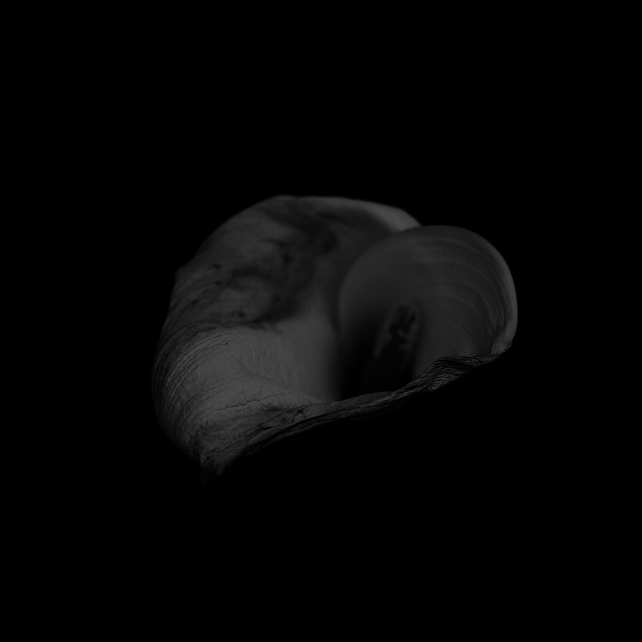 &rdquo;近藤悟之攝影作品&rdquo;