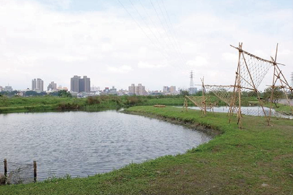 新海人工濕地